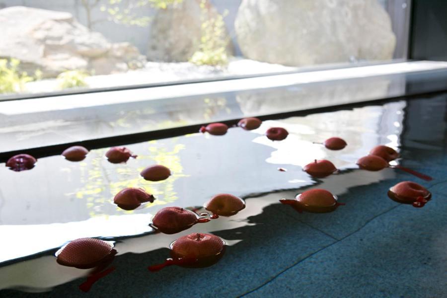 Horohoro Sanso Ryokan